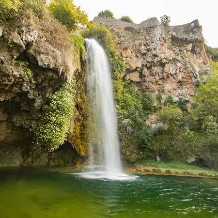 Campanile Nature - 3*